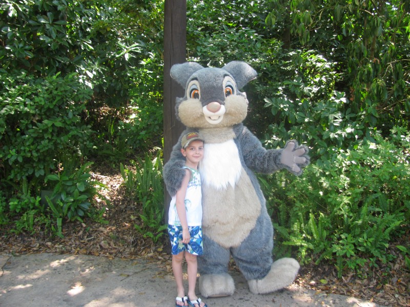 Animal Kingdom 147.jpg